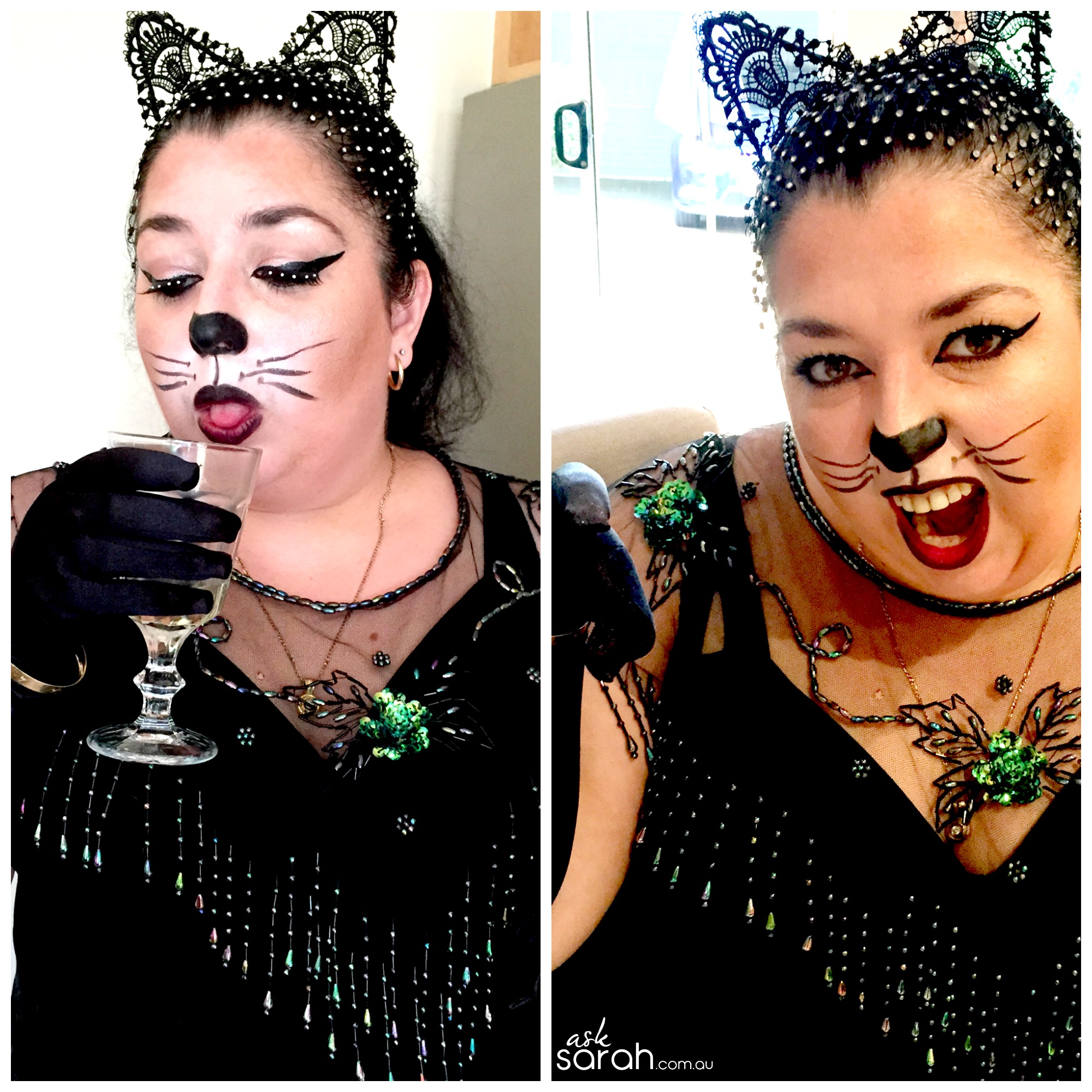 being catty Collage