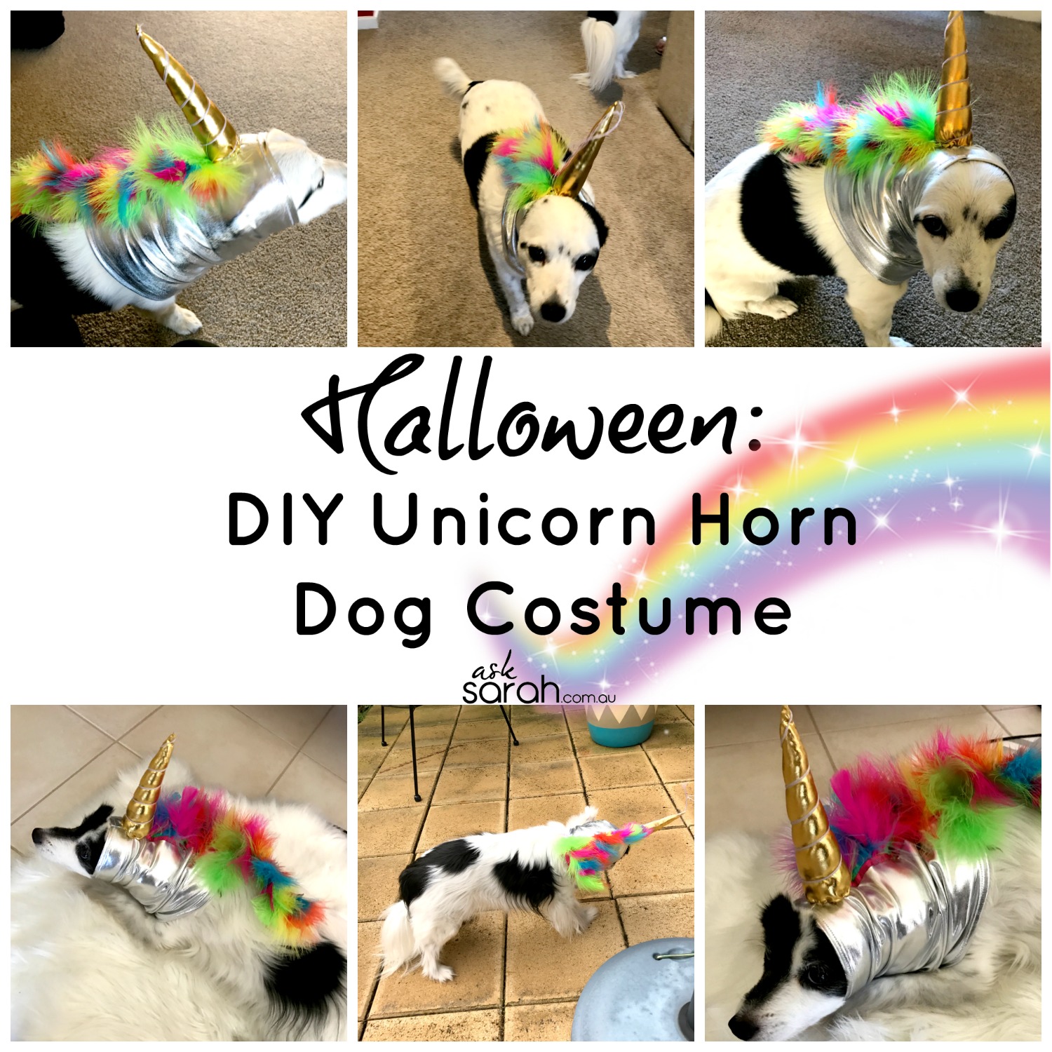 Halloween: Unicorn Horn Dog Costume {DIY Metallic & Rainbow Unicorn Snood Tutorial}